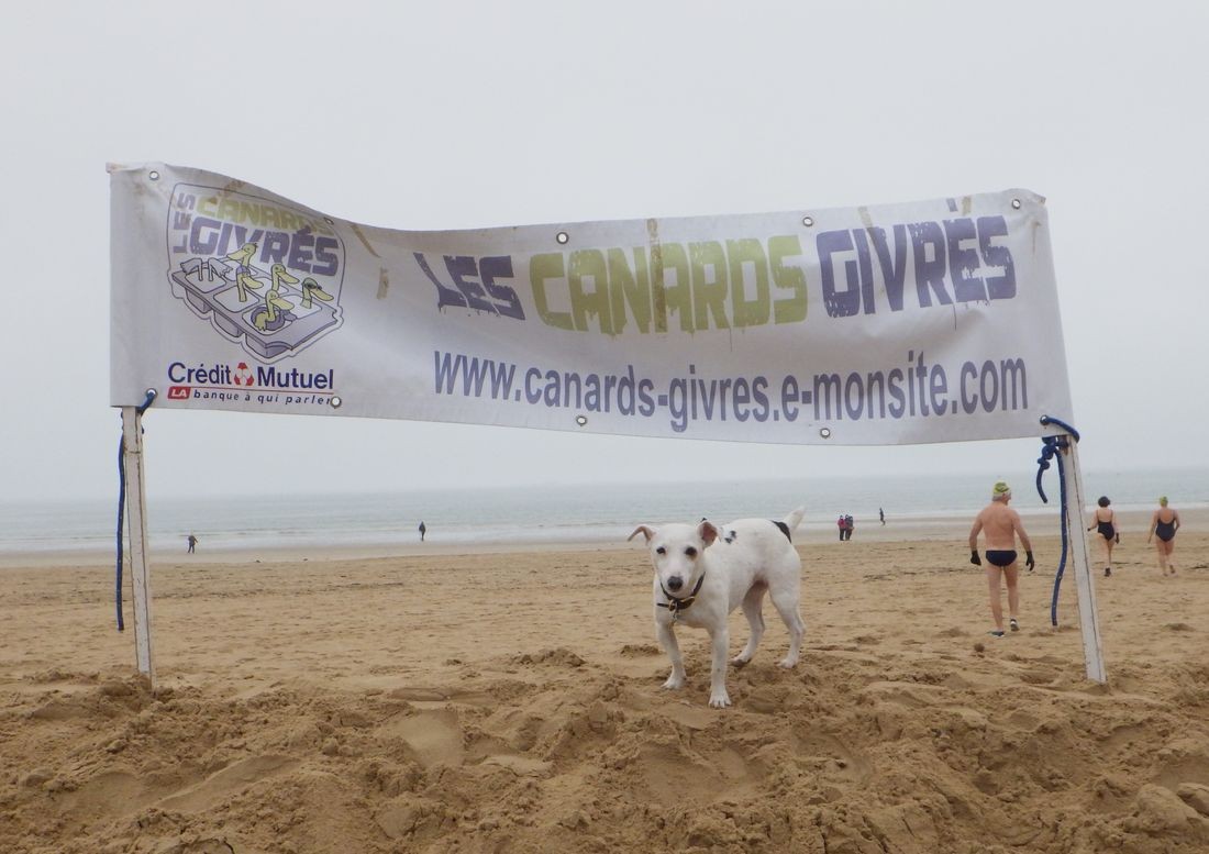 Canards 2022 01 30 002